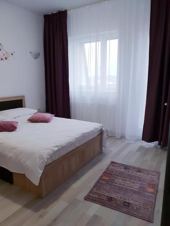 בראשוב Friendly Rentals Vivamus מראה חיצוני תמונה